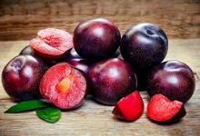 فوائد البرقوق